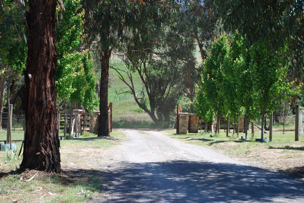 Bluegum Ridge Cottages Merrijig Exterior photo