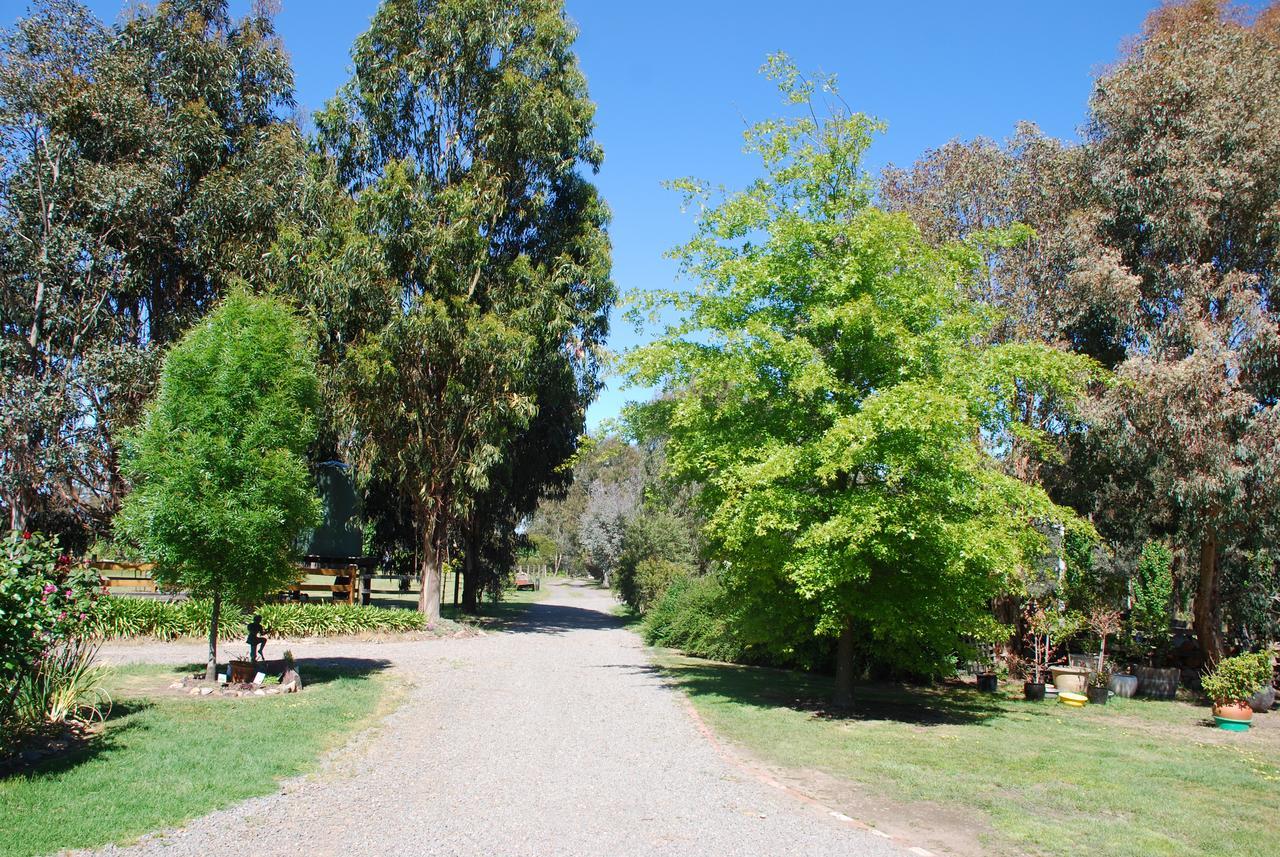 Bluegum Ridge Cottages Merrijig Exterior photo